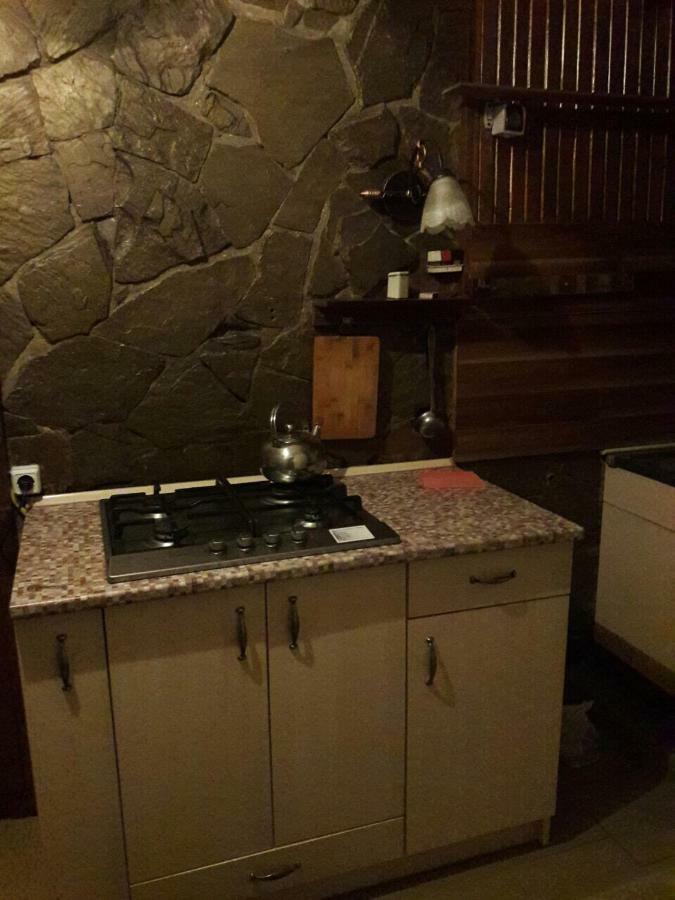 Квартира В Центрі Міста לבוב מראה חיצוני תמונה